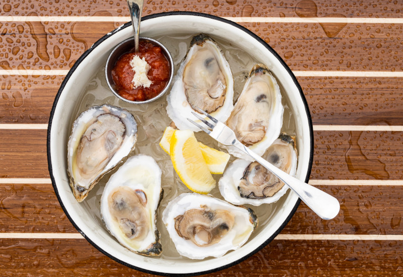 What makes Maine oysters special?